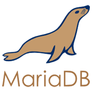 Connect Your Charts and Dashboards to a MARIADB Database